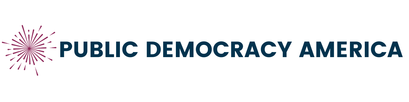 Public Democracy America logo